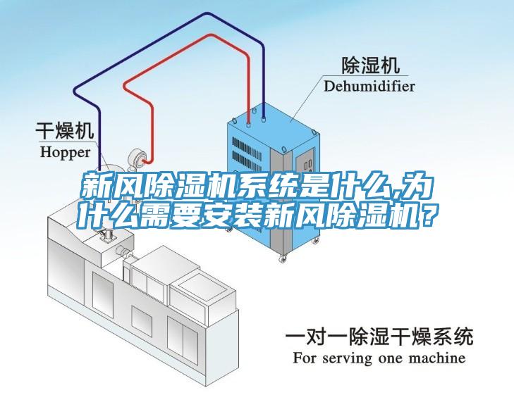 新风辣椒视频APP下载并安装系统是什么,为什么需要安装新风辣椒视频APP下载并安装？