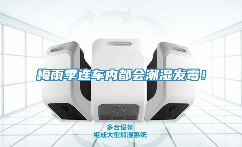 梅雨季连车内都会潮湿发霉！