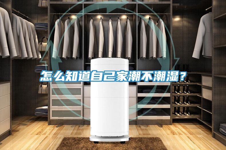 怎么知道自己家潮不潮湿？