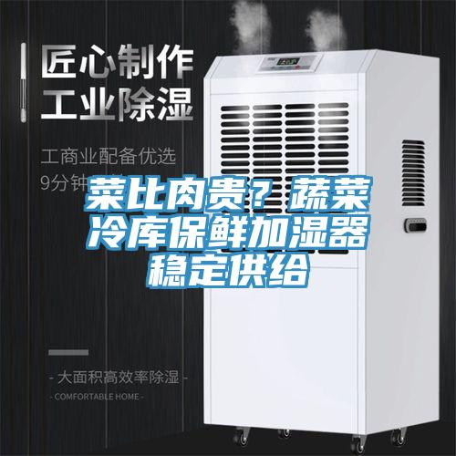 菜比肉贵？蔬菜冷库保鲜加湿器稳定供给