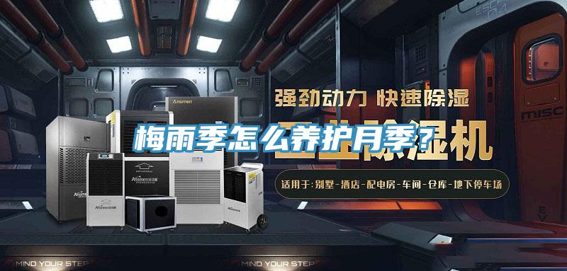 梅雨季怎么养护月季？