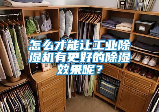 怎么才能让工业辣椒视频APP下载并安装有更好的除湿效果呢？