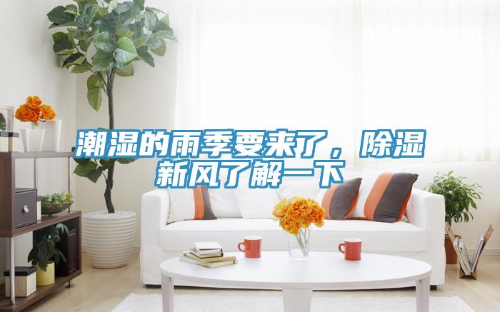 潮湿的雨季要来了，除湿新风了解一下