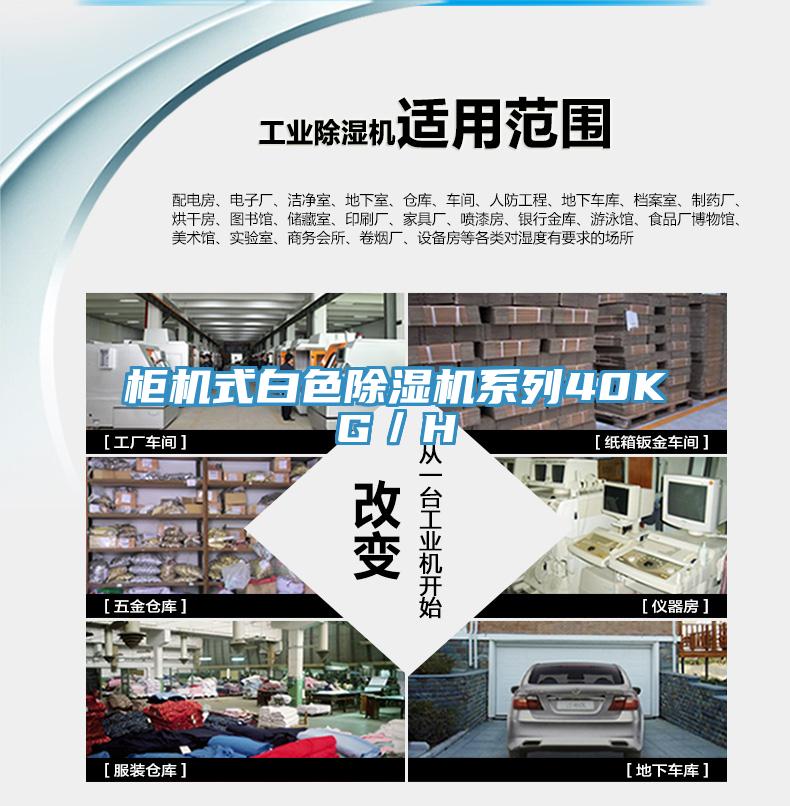 柜机式白色辣椒视频APP下载并安装系列40KG／H