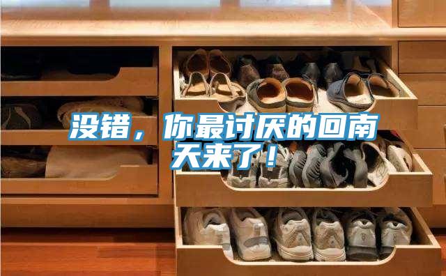 没错，你最讨厌的回南天来了！