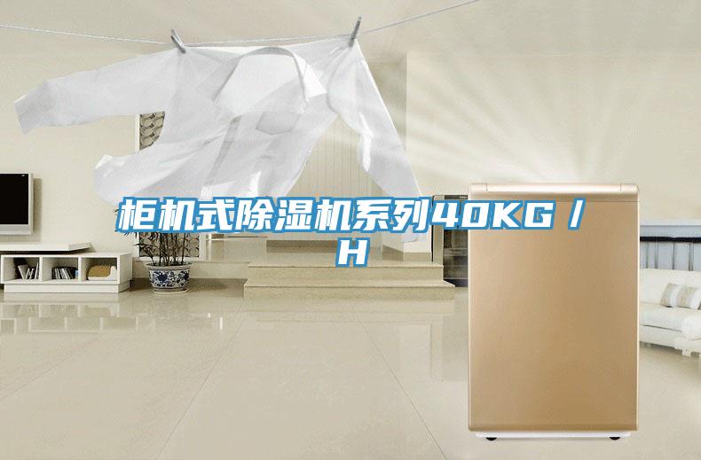 柜机式辣椒视频APP下载并安装系列40KG／H
