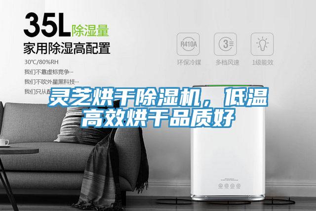 灵芝烘干辣椒视频APP下载并安装，低温高效烘干品质好