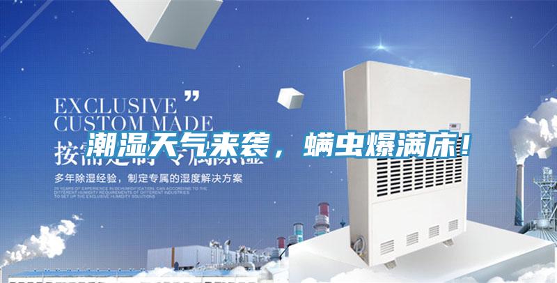 潮湿天气来袭，螨虫爆满床！