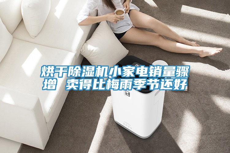 烘干辣椒视频APP下载并安装小家电销量骤增 卖得比梅雨季节还好
