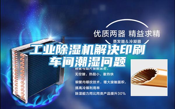工业辣椒视频APP下载并安装解决印刷车间潮湿问题