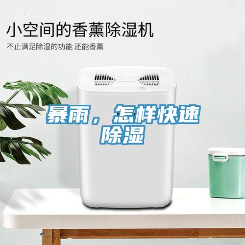 暴雨，怎样快速除湿