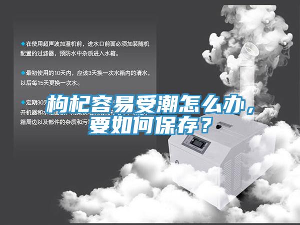 枸杞容易受潮怎么办，要如何保存？