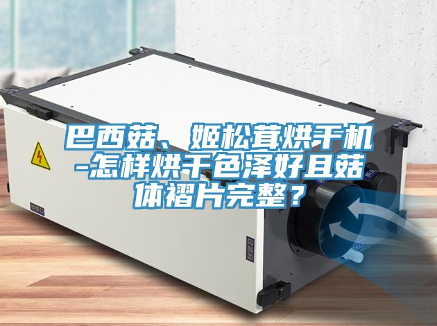 巴西菇、姬松茸烘干机-怎样烘干色泽好且菇体褶片完整？