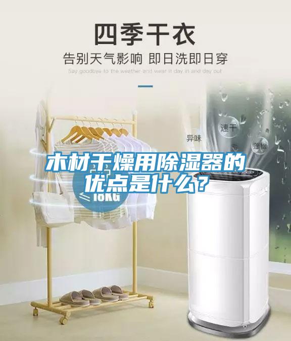 木材干燥用除湿器的优点是什么？