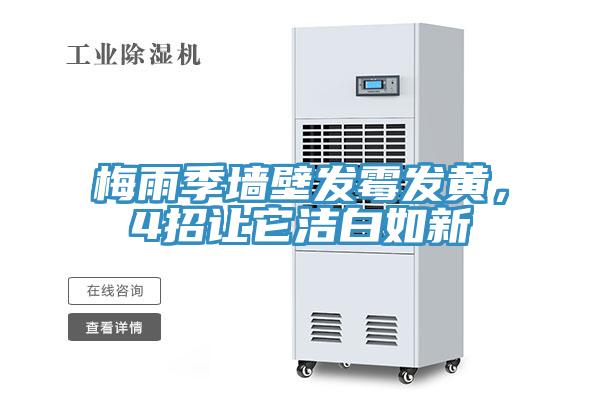 梅雨季墙壁发霉发黄，4招让它洁白如新