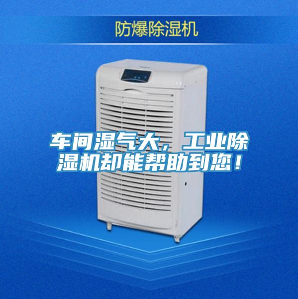 车间湿气大，工业辣椒视频APP下载并安装却能帮助到您！