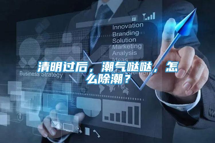 清明过后，潮气哒哒，怎么除潮？