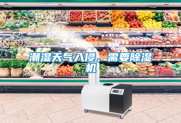 潮湿天气入侵，需要辣椒视频APP下载并安装