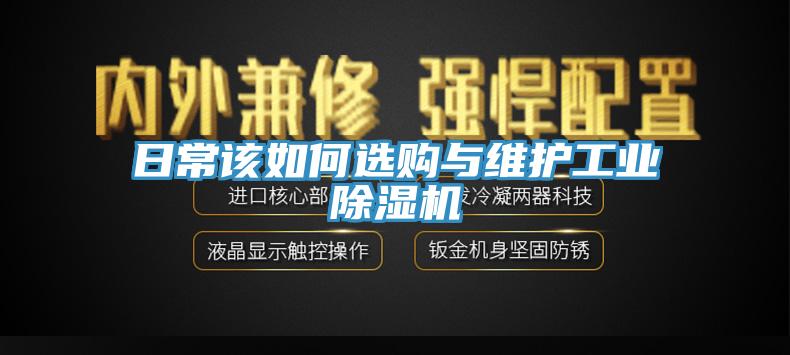 日常该如何选购与维护工业辣椒视频APP下载并安装