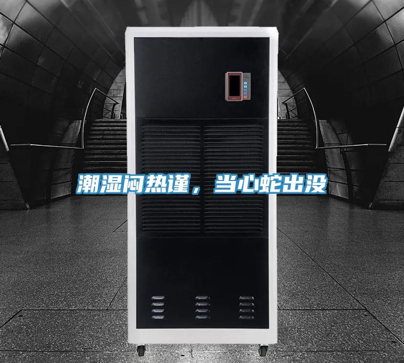 潮湿闷热谨，当心蛇出没
