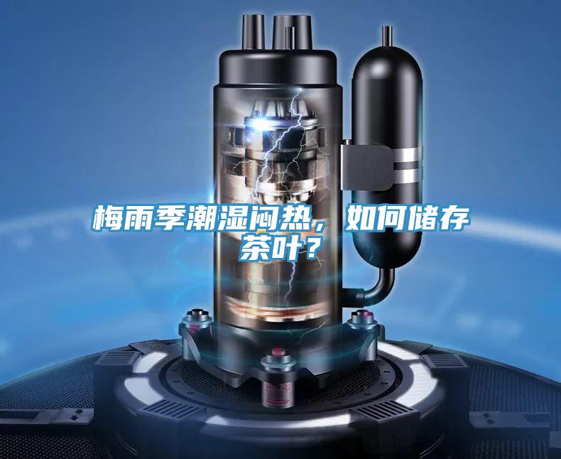 梅雨季潮湿闷热，如何储存茶叶？
