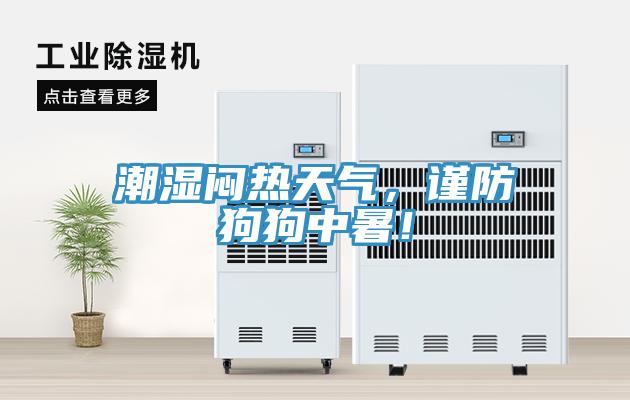 潮湿闷热天气，谨防狗狗中暑！