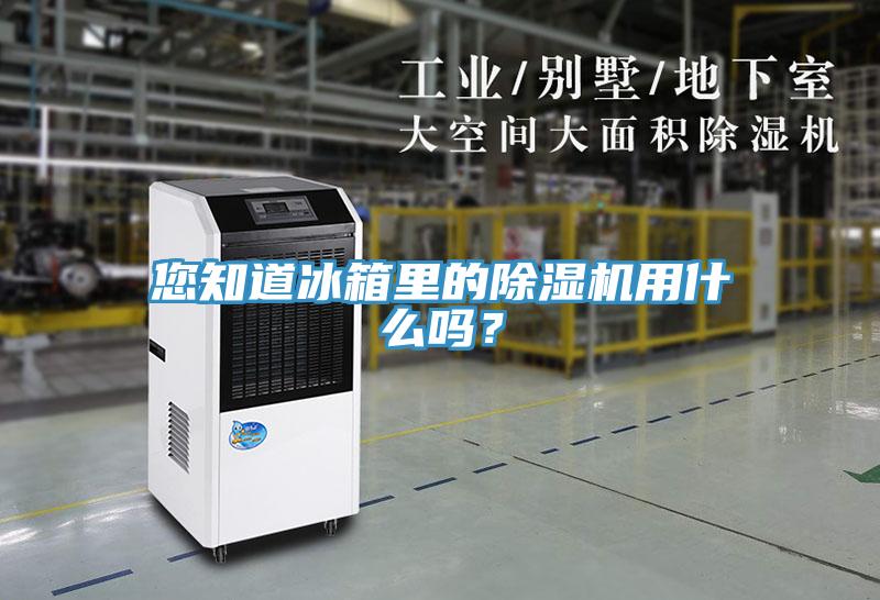 您知道冰箱里的辣椒视频APP下载并安装用什么吗？