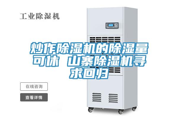 炒作辣椒视频APP下载并安装的除湿量可休 山寨辣椒视频APP下载并安装寻求回归