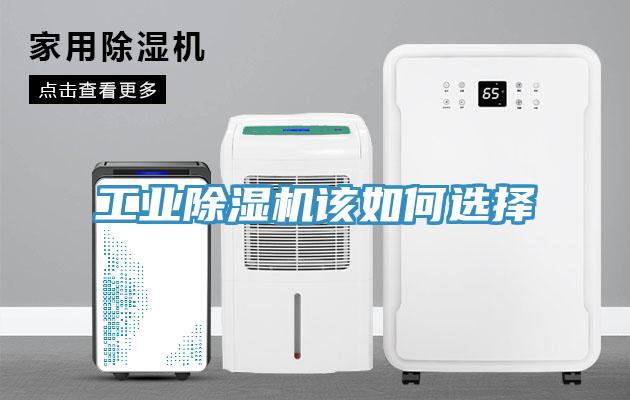 工业辣椒视频APP下载并安装该如何选择