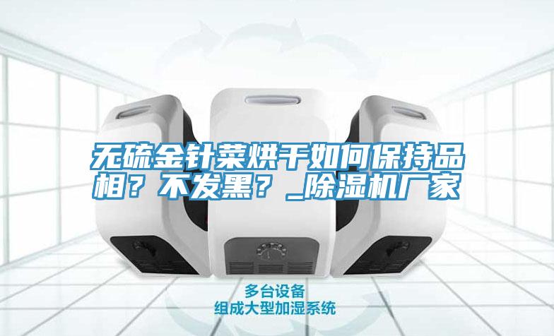 无硫金针菜烘干如何保持品相？不发黑？_辣椒视频APP下载并安装厂家