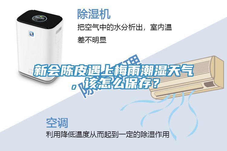 新会陈皮遇上梅雨潮湿天气，该怎么保存？