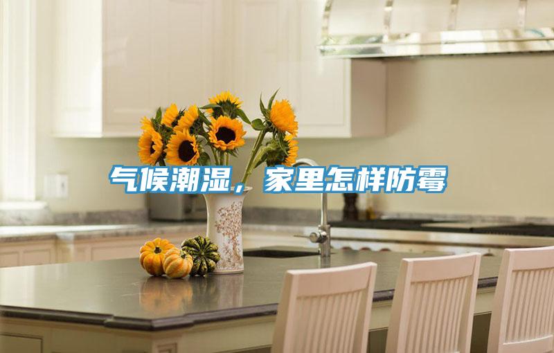 气候潮湿，家里怎样防霉