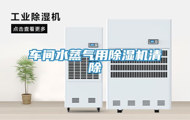 车间水蒸气用辣椒视频APP下载并安装清除