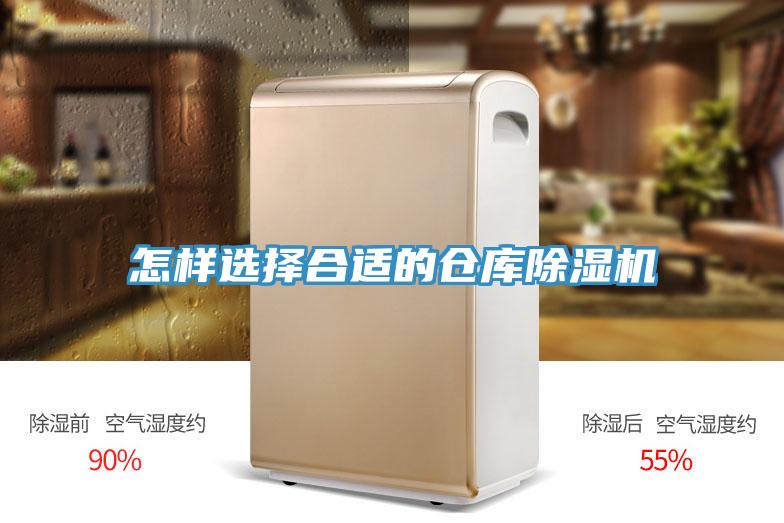 怎样选择合适的仓库辣椒视频APP下载并安装