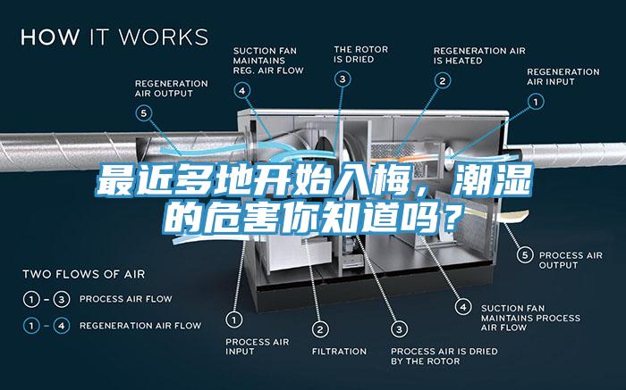 最近多地开始入梅，潮湿的危害你知道吗？
