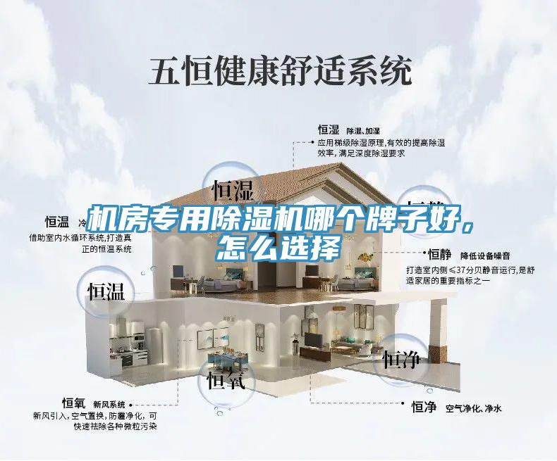 机房专用辣椒视频APP下载并安装哪个牌子好，怎么选择