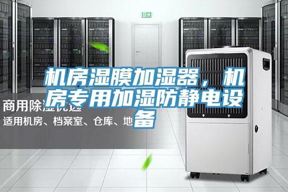 机房湿膜加湿器，机房专用加湿防静电设备