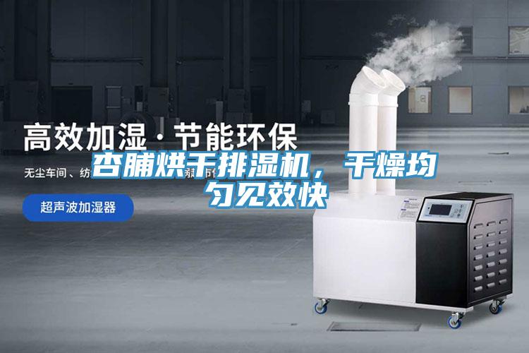 杏脯烘干排湿机，干燥均匀见效快
