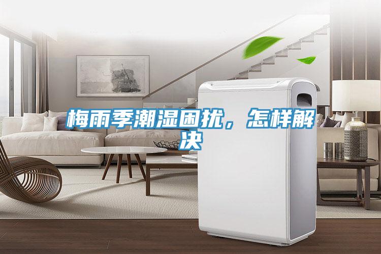 梅雨季潮湿困扰，怎样解决