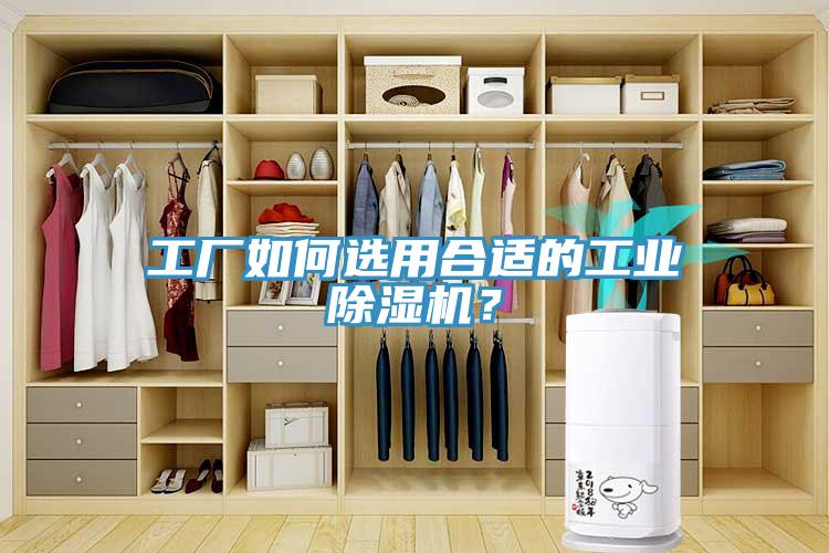 工厂如何选用合适的工业辣椒视频APP下载并安装？