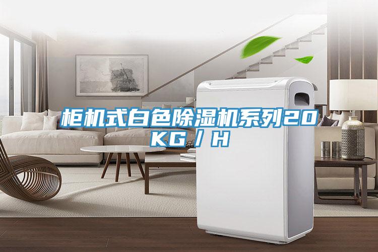 柜机式白色辣椒视频APP下载并安装系列20KG／H
