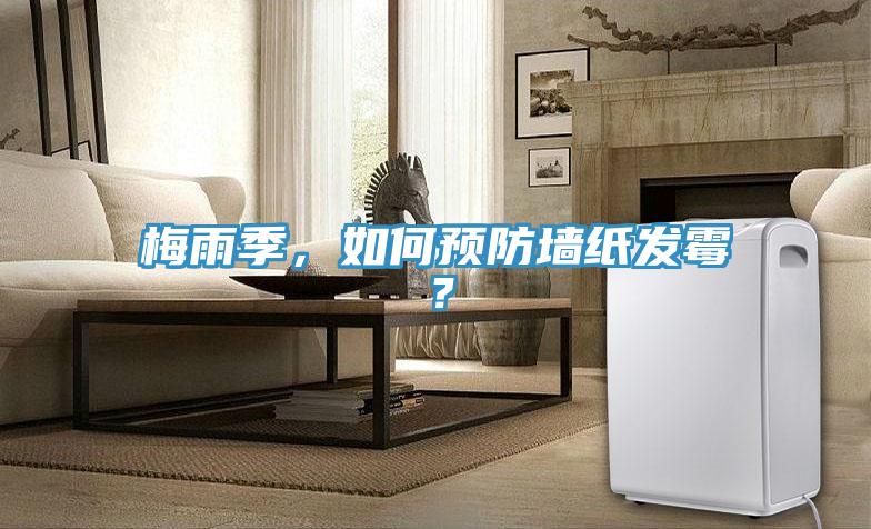梅雨季，如何预防墙纸发霉？