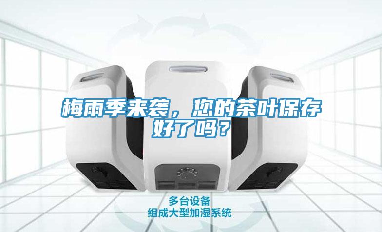 梅雨季来袭，您的茶叶保存好了吗？