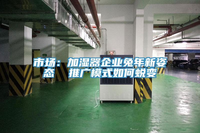 市场：加湿器企业兔年新姿态  推广模式如何蜕变