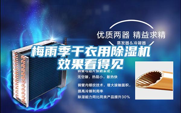 梅雨季干衣用辣椒视频APP下载并安装效果看得见