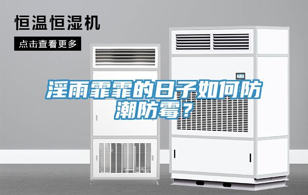 淫雨霏霏的日子如何防潮防霉？