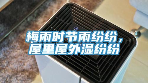 梅雨时节雨纷纷，屋里屋外湿纷纷