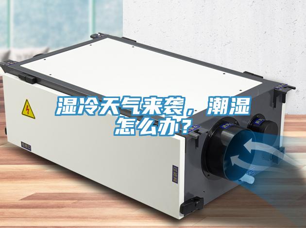 湿冷天气来袭，潮湿怎么办？