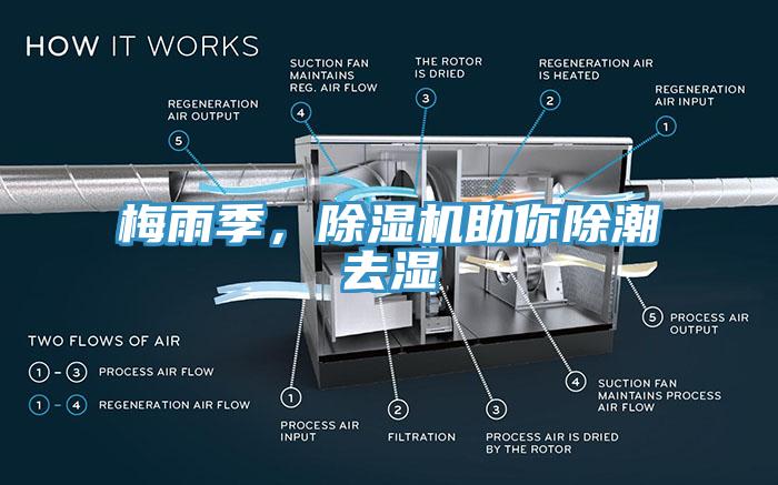 梅雨季，辣椒视频APP下载并安装助你除潮去湿