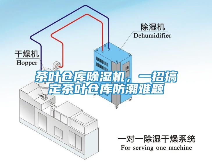 茶叶仓库辣椒视频APP下载并安装，一招搞定茶叶仓库防潮难题